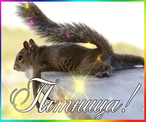 Прикольные статусы про пятницу.