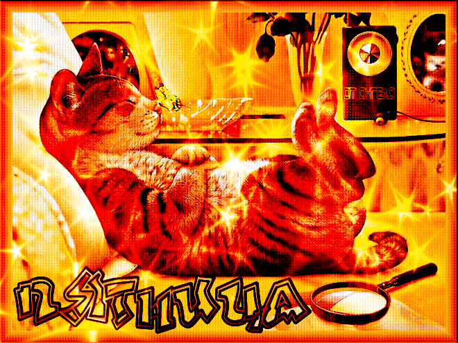 Забавные картинки на вечер пятницы.