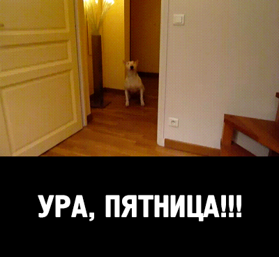 Картинки Смешные До Слез Пятница.