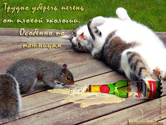 Пятница гифки прикольные.