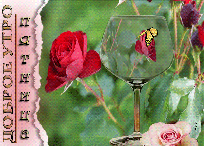 Супер открытка Хороший день начинается с утра пятницы