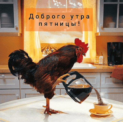Прикольные открытки с добрым утром пятница прикольные.
