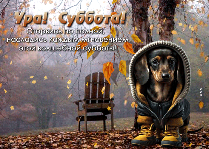 Ура! Суббота! Оторвись по полной, насладись каждым мгновением Ура! Суббота! Оторвись по полной, насладись каждым мгновением