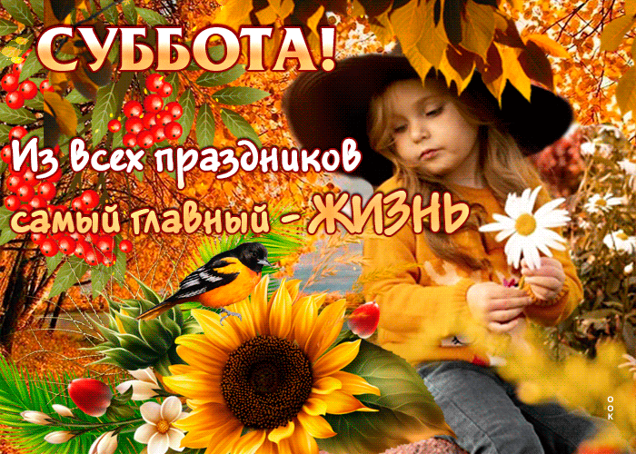 Магическая осенняя гиф-открытка Суббота! Магическая осенняя гиф-открытка Суббота!