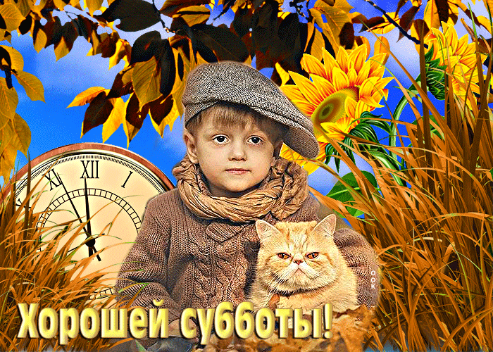 Изумительная открытка с мальчиком и котом Хорошей субботы Изумительная открытка с мальчиком и котом Хорошей субботы