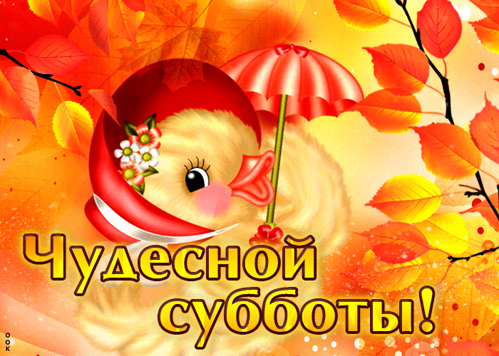 Забавная открытка с утенком Чудесной субботы! Забавная открытка с утенком Чудесной субботы!