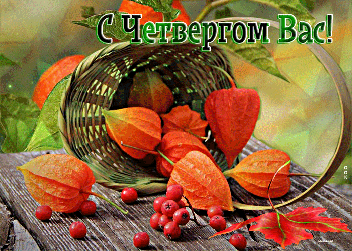 Изумительная открытка Теплого вам четверга! Изумительная открытка Теплого вам четверга!