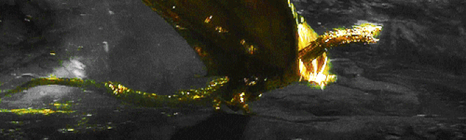 Новогодние гифки с символом года 2024 - Драконом. 