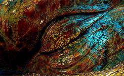 Хостинг картинок yapx.ru