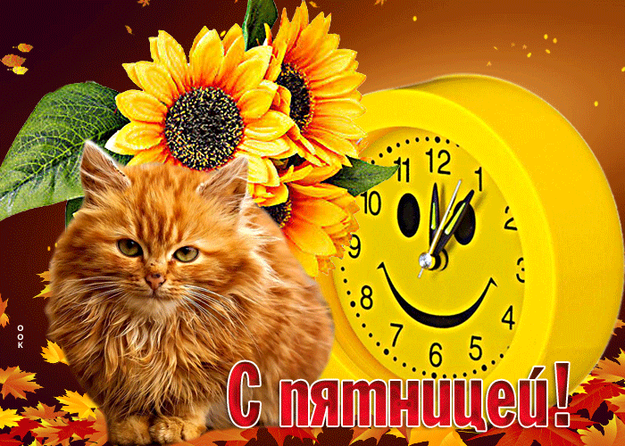 Анимация Фантастическая открытка с котиком С пятницей этой осенью! Анимация Фантастическая открытка с котиком С пятницей этой осенью!