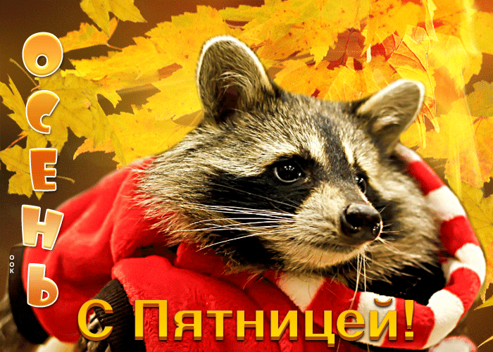 Анимированная открытка Осень, пятница, ура. все гуляем до утра! Анимированная открытка Осень, пятница, ура. все гуляем до утра!