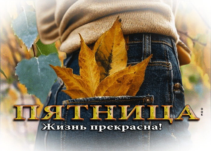 Доброе осеннее утро пятницы - новые картинки. Доброе осеннее утро пятницы - новые картинки.