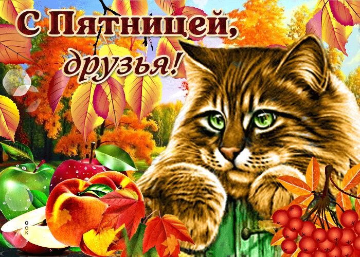Открытка с пятницей, друзья Открытка с пятницей, друзья