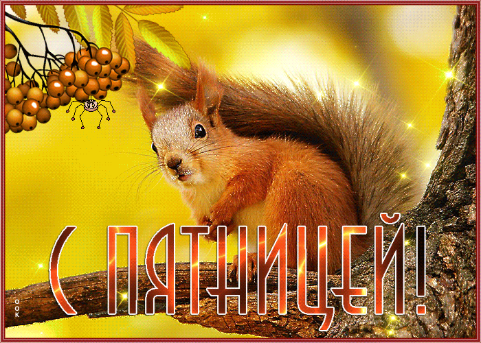 Супер открытка с пятницей Супер открытка с пятницей