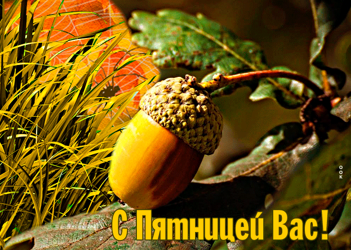 Анимированная открытка Мое осеннее счастье. Анимированная открытка Мое осеннее счастье.