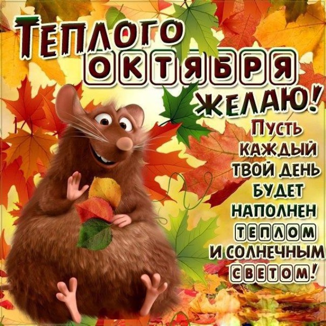 Хостинг картинок yapx.ru