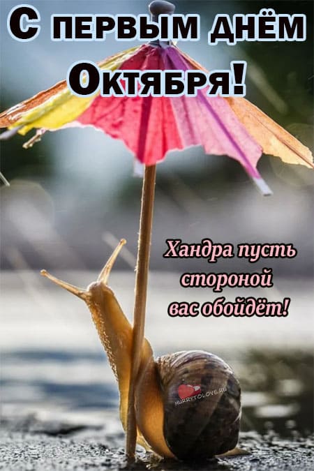 Хостинг картинок yapx.ru