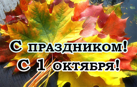 Хостинг картинок yapx.ru