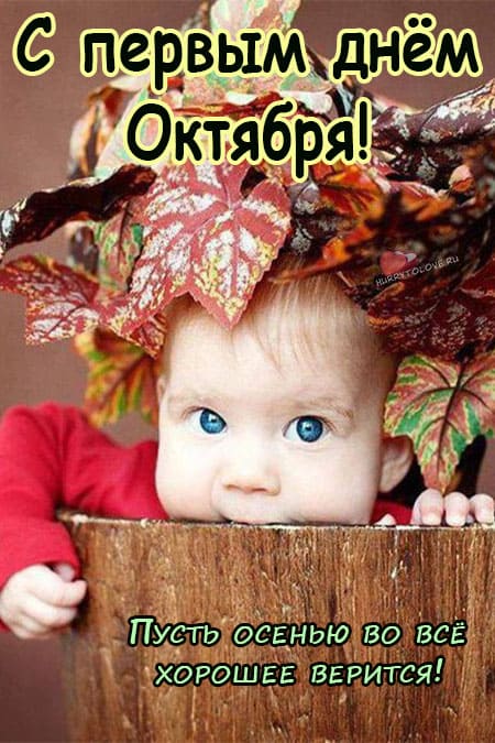 Хостинг картинок yapx.ru