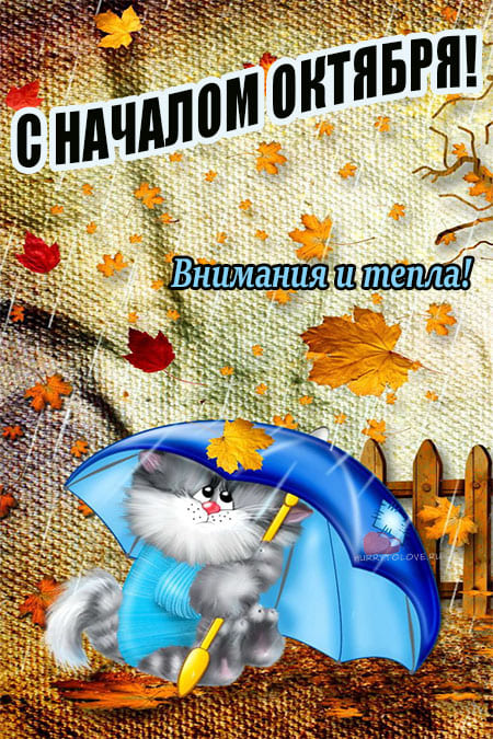 Хостинг картинок yapx.ru