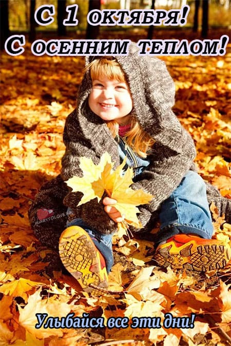 Хостинг картинок yapx.ru