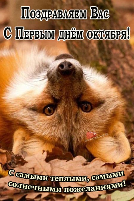 Хостинг картинок yapx.ru