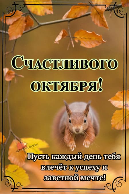 Хостинг картинок yapx.ru