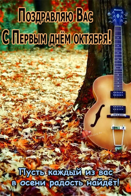 Хостинг картинок yapx.ru