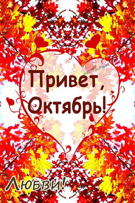 Хостинг картинок yapx.ru