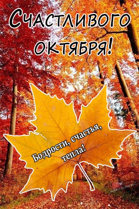 Хостинг картинок yapx.ru