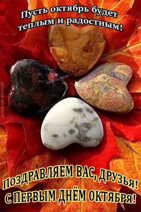 Хостинг картинок yapx.ru