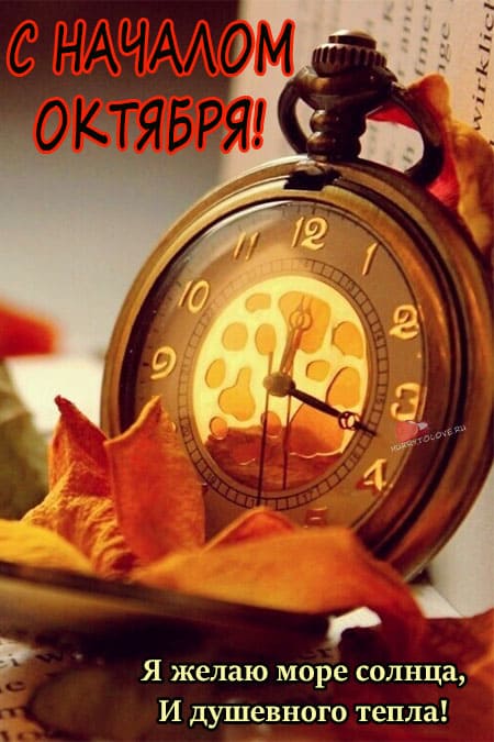 Хостинг картинок yapx.ru