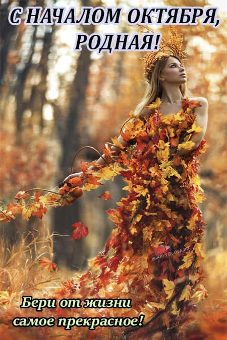 Хостинг картинок yapx.ru