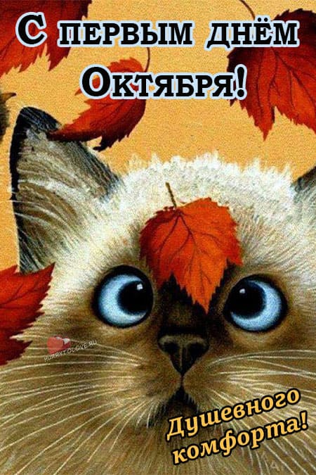 Хостинг картинок yapx.ru