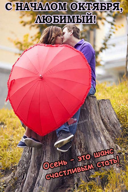 Хостинг картинок yapx.ru