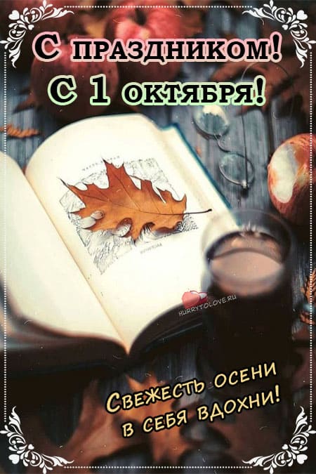 Хостинг картинок yapx.ru