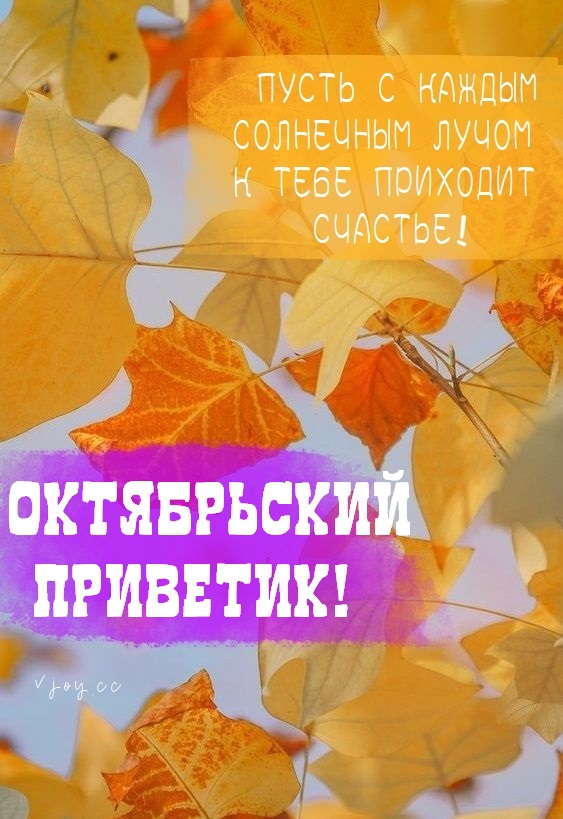 Хостинг картинок yapx.ru