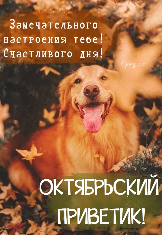 Хостинг картинок yapx.ru