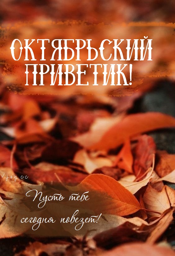 Хостинг картинок yapx.ru