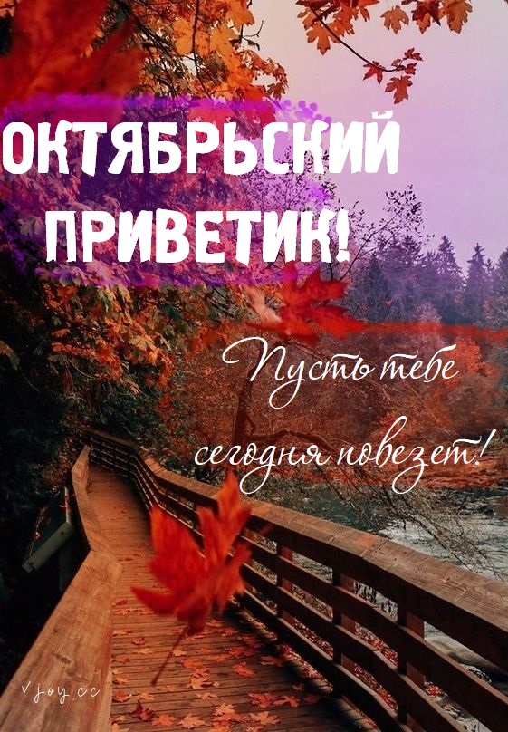 Хостинг картинок yapx.ru