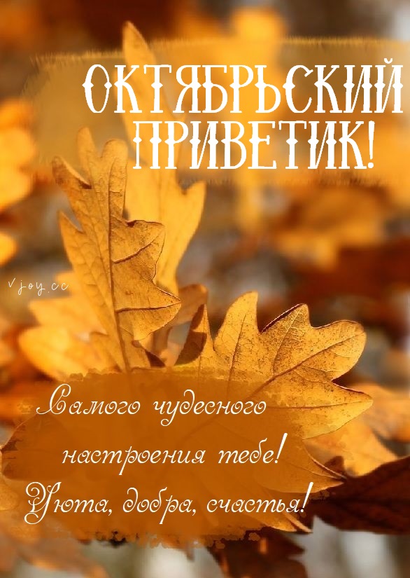 Хостинг картинок yapx.ru