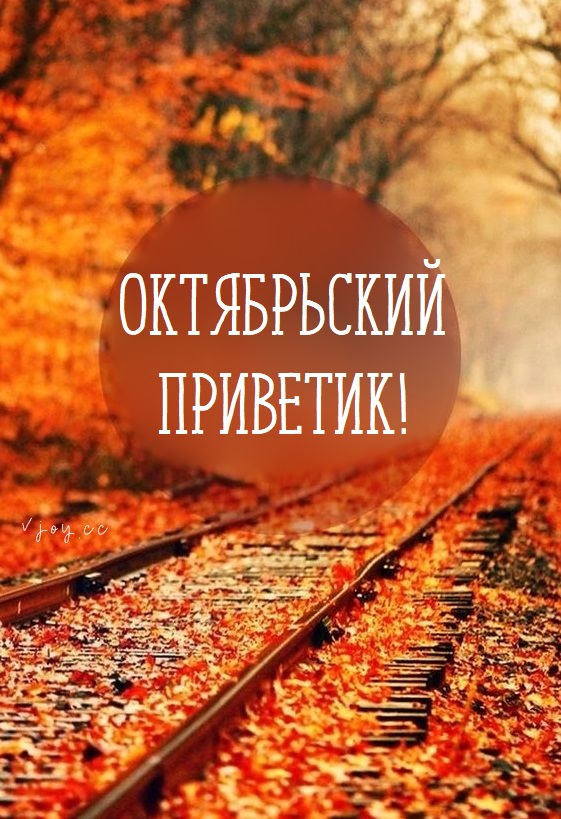 Хостинг картинок yapx.ru