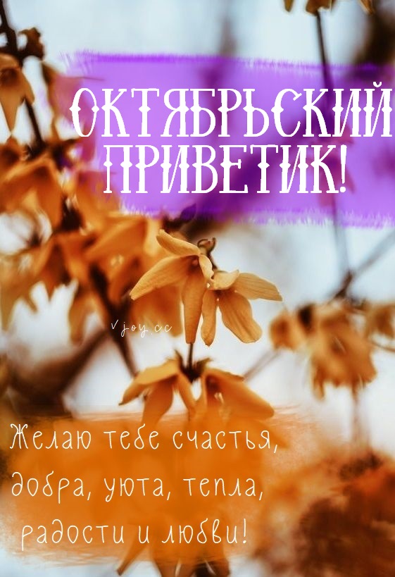 Хостинг картинок yapx.ru