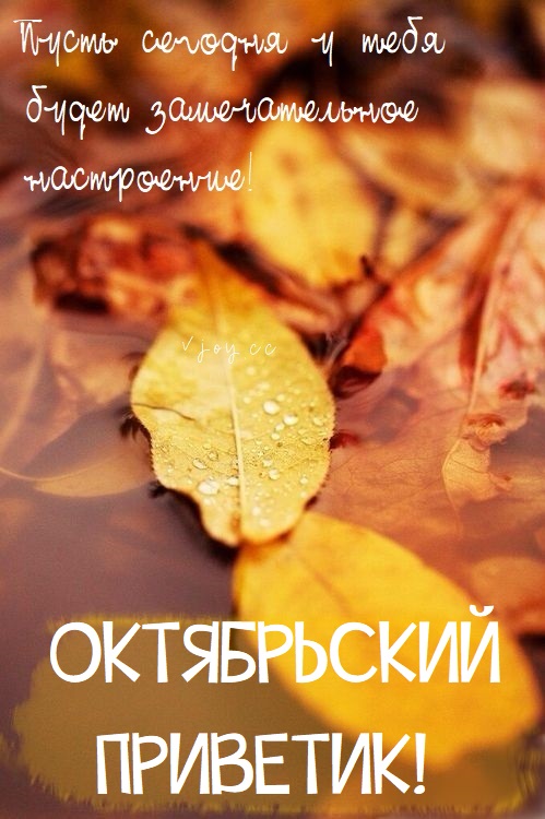 Хостинг картинок yapx.ru