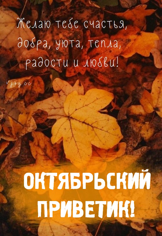 Хостинг картинок yapx.ru