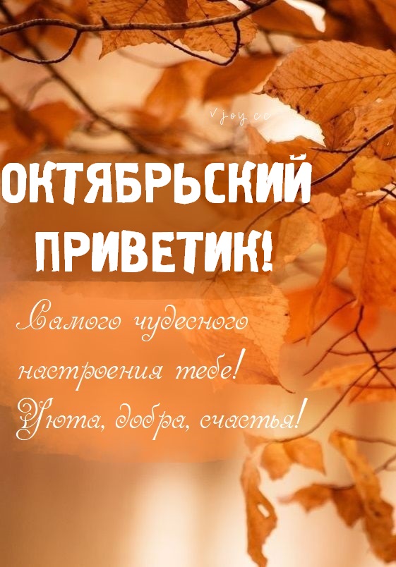 Хостинг картинок yapx.ru