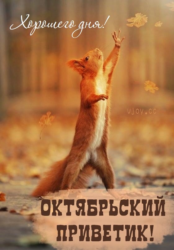 Хостинг картинок yapx.ru