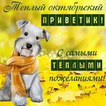 Хостинг картинок yapx.ru