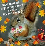 Хостинг картинок yapx.ru