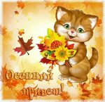 Хостинг картинок yapx.ru